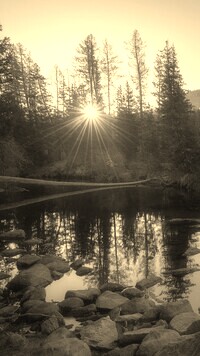 Szary + Sepia