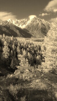 Szary + Sepia