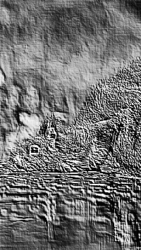 Skamielina