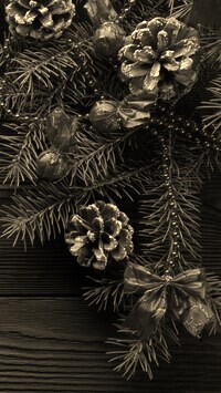 Szary + Sepia