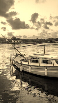 Szary + Sepia