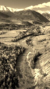 Sepia