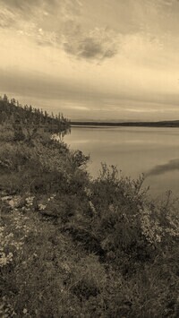 Sepia
