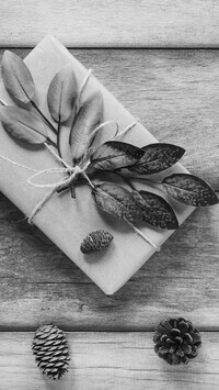 Szary