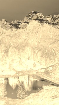 Sepia + Negatyw