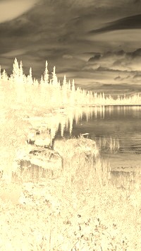 Sepia + Negatyw