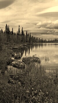 Sepia