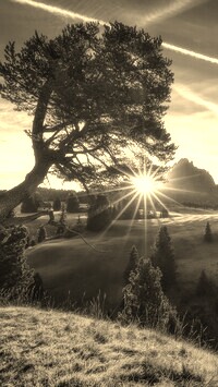 Sepia
