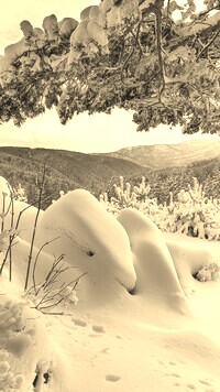 Sepia