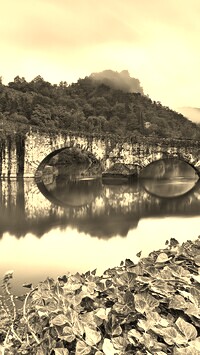 Szary + Sepia
