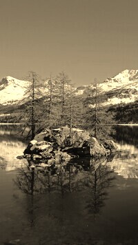 Sepia