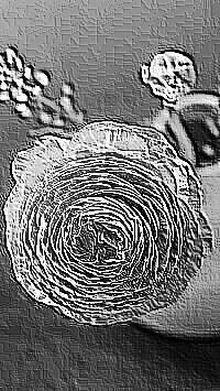 Skamielina