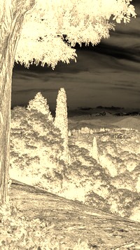 Sepia + Negatyw