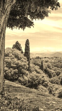 Sepia