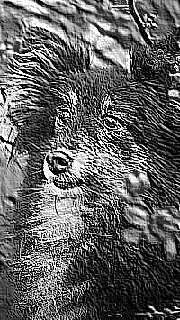 Skamielina