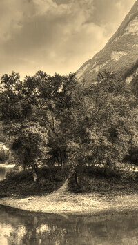 Szary + Sepia