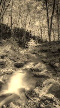 Szary + Sepia