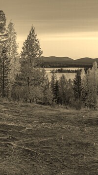 Szary + Sepia