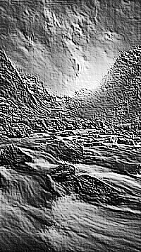Skamielina