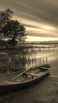 Szary + Sepia