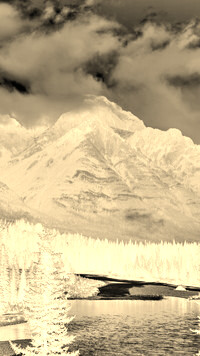 Sepia + Negatyw