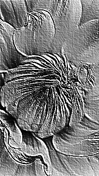 Skamielina