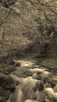 Sepia