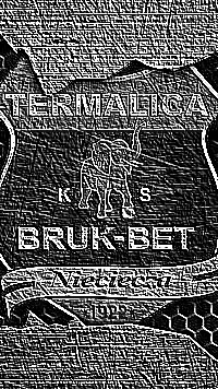 Skamielina