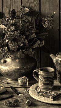 Szary + Sepia