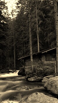 Sepia