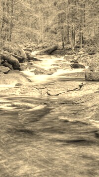 Sepia