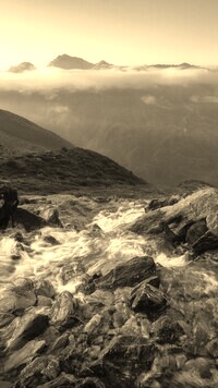 Szary + Sepia