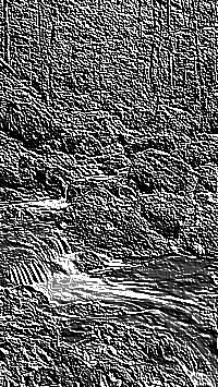 Skamielina