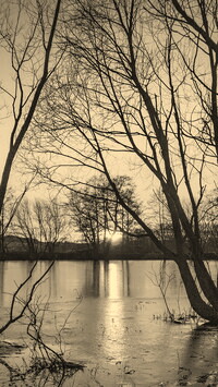 Szary + Sepia