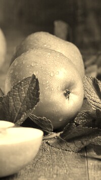 Szary + Sepia