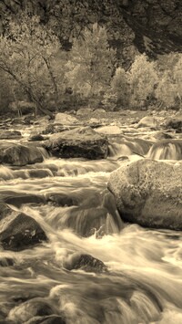 Sepia