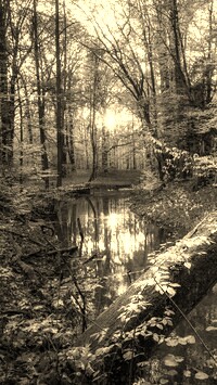 Szary + Sepia