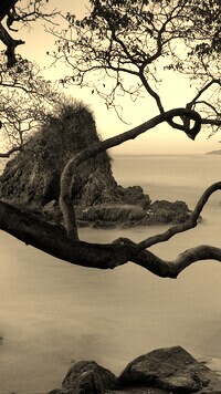Szary + Sepia