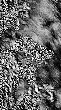 Skamielina