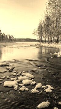Szary + Sepia