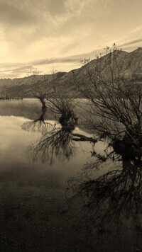 Sepia