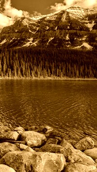 Sepia