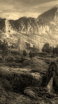 Szary + Sepia