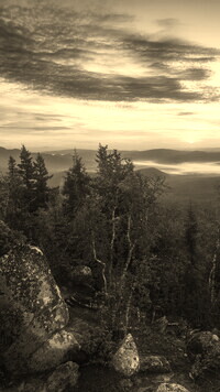 Sepia