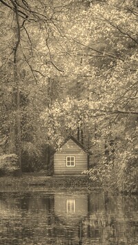 Szary + Sepia