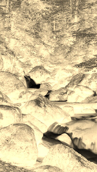 Sepia + Negatyw