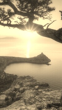 Sepia