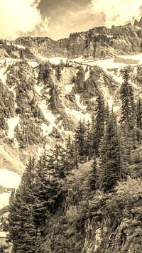 Szary + Sepia
