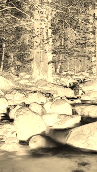 Sepia + Negatyw