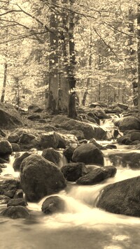 Sepia